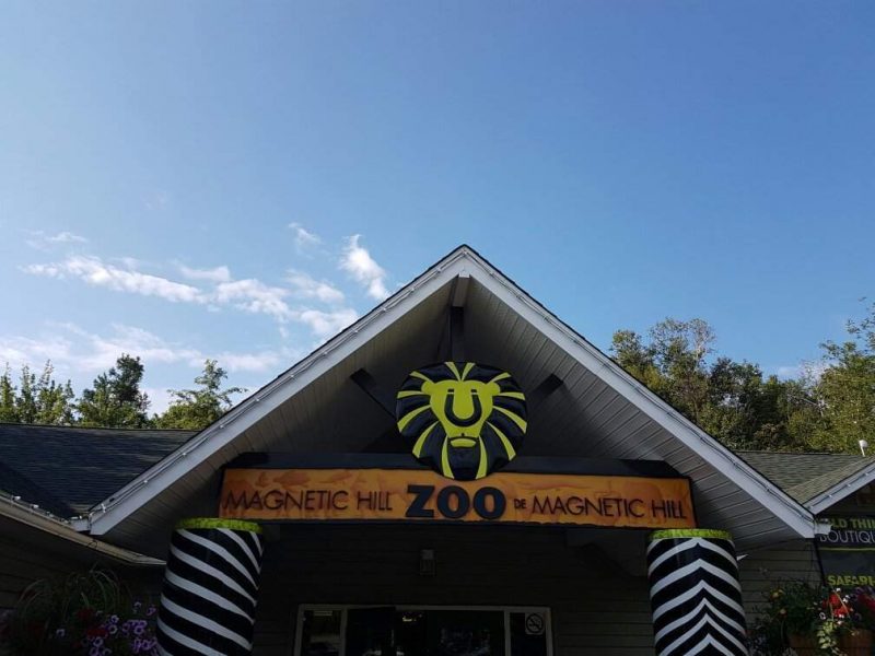Magnetic Hill Zoo